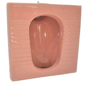 Indian Toilet Repair